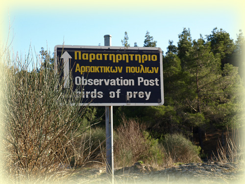  The Dadia Forest in eastern Greece is famous for wildlife, especially birds, with accommodation and information available at the Dadia Ecotourism Centre.